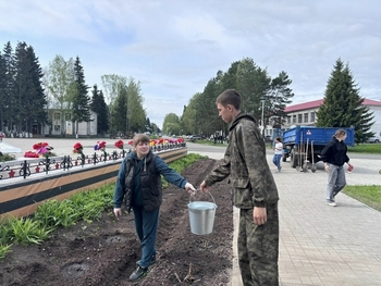 Порядок наведён! Цветы высажены!