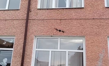 Учебная тренировка