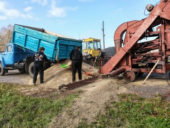 Учимся делу на практике